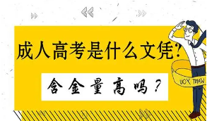 2021年成人高考哪些專業(yè)對口公務(wù)員考試呢？