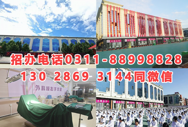 石家莊天使護士學校2025年秋季招生簡章